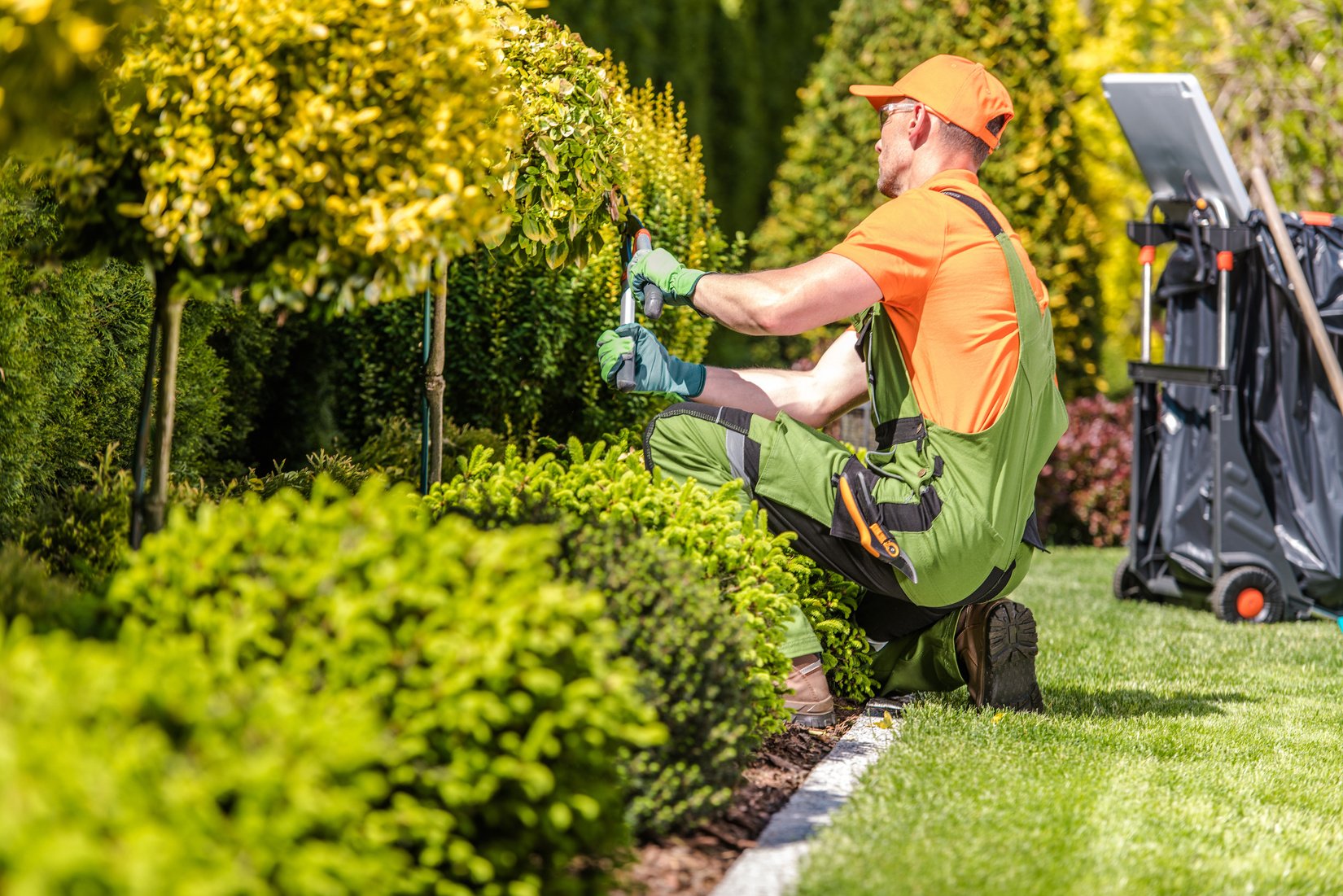 Garden Worker Trimming Plants